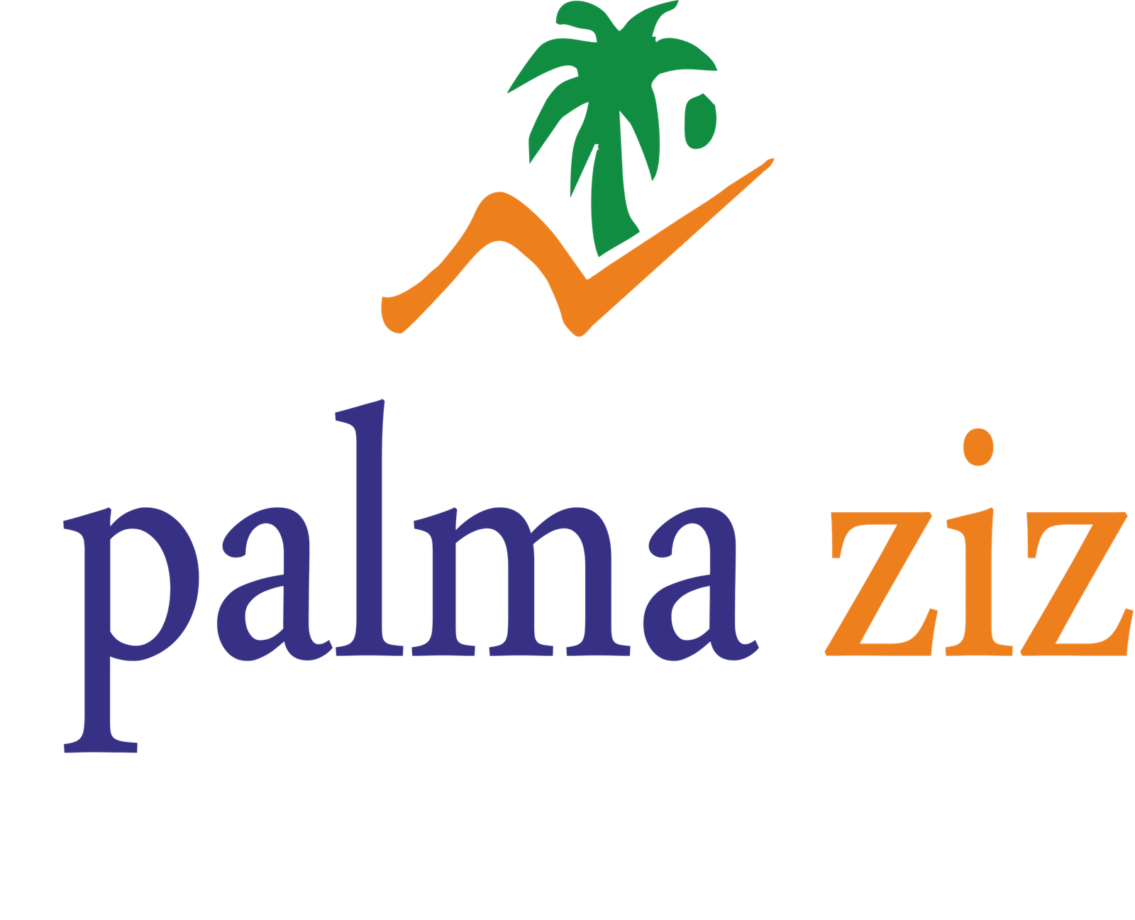 palmaziz.com